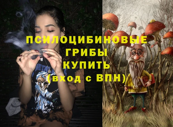 PSILOCYBIN Алексин