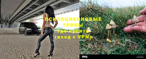 ешки Надым