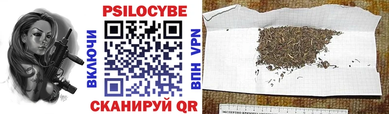 как найти наркотики Аргун omg ссылки Галлюциногенные грибы ЛСД